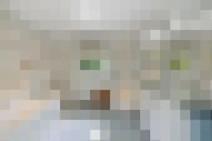 Mink 4 Veldhoven thumbnail 26