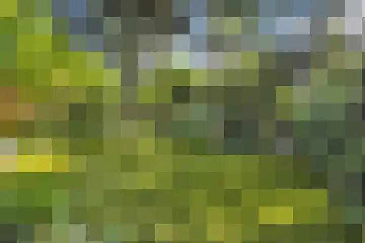 Mink 4 Veldhoven thumbnail 43