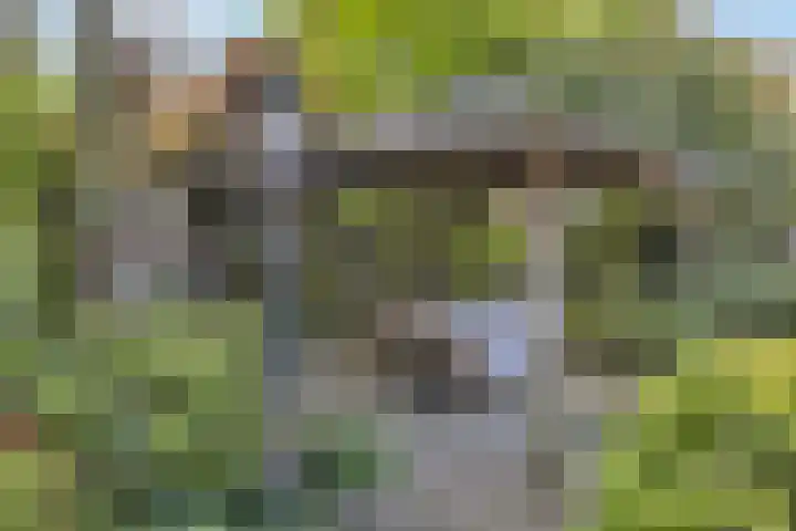 Mink 4 Veldhoven thumbnail 44