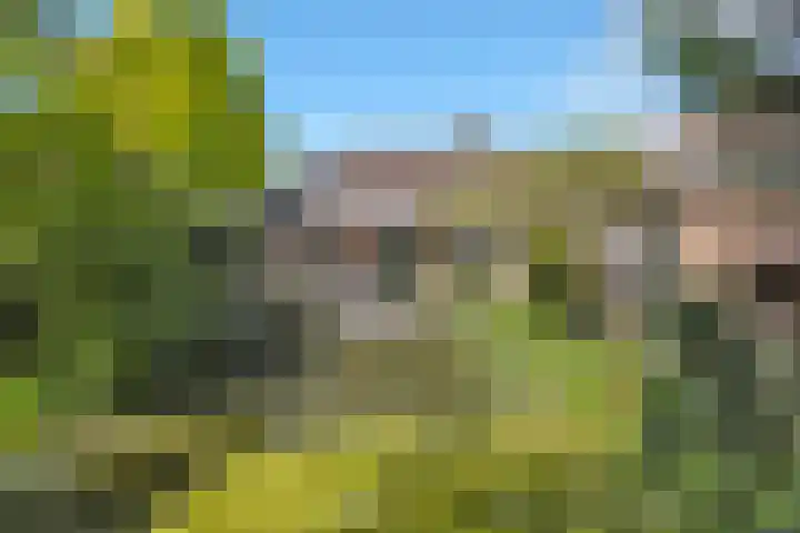 Mink 4 Veldhoven thumbnail 45