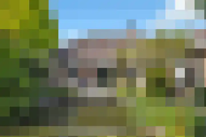 Mink 4 Veldhoven thumbnail 46