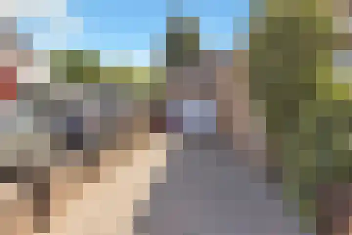 Mink 4 Veldhoven thumbnail 56