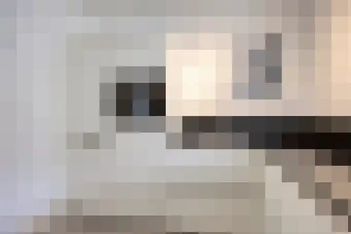 Mink 5 Veldhoven thumbnail 12