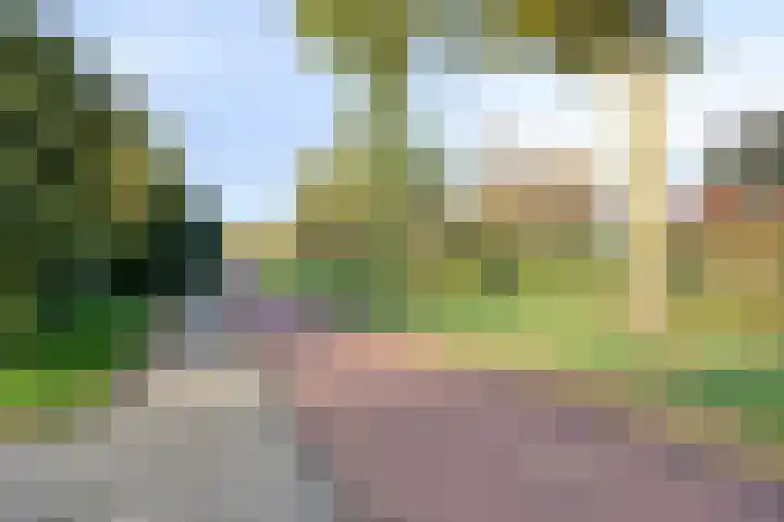 Mink 5 Veldhoven thumbnail 37