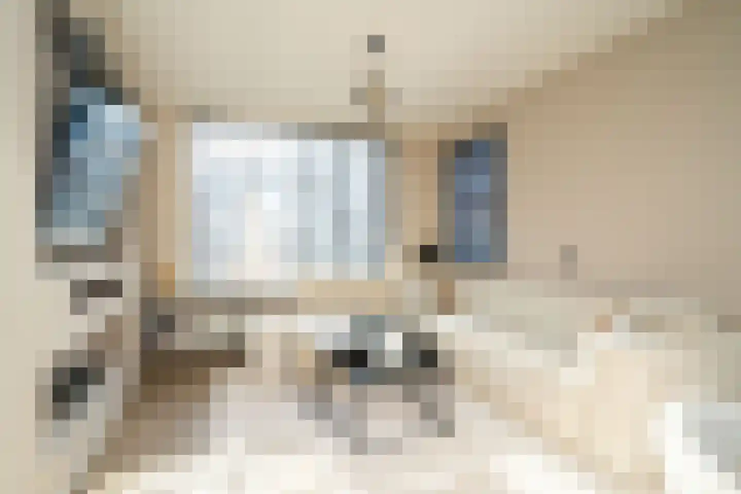 Minkmaatstraat 5 Enschede thumbnail 7