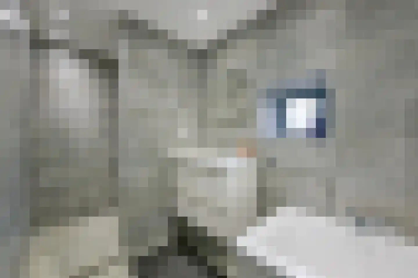Minnewei 16 Midwoud thumbnail 23