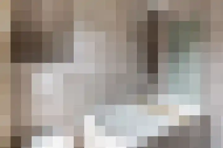 Minorcalaan 23 Barneveld thumbnail 14