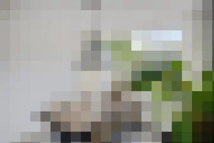 Minstreelpad 7 Soest thumbnail 10