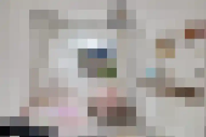 Minstreelpad 7 Soest thumbnail 18