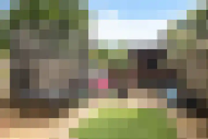 Minstreelpad 7 Soest thumbnail 24