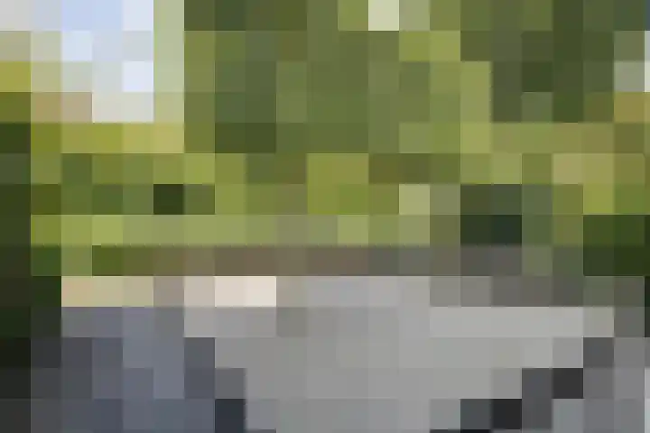 Minstreelpad 7 Soest thumbnail 27