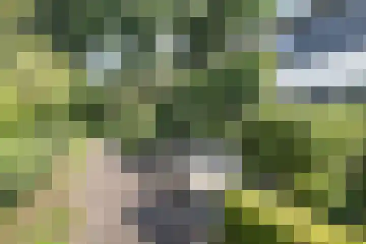 Minstreelpad 7 Soest thumbnail 29