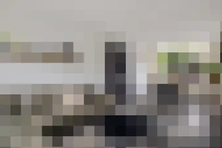 Minstreelpad 7 Soest thumbnail 5