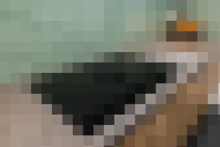 Mintplantsoen 60 Almere thumbnail 24