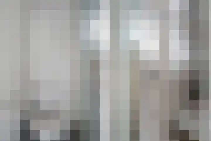 Mintplantsoen 60 Almere thumbnail 30