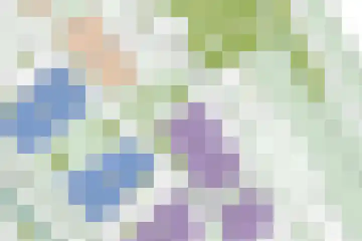 Mirabel 21 Asten thumbnail 7