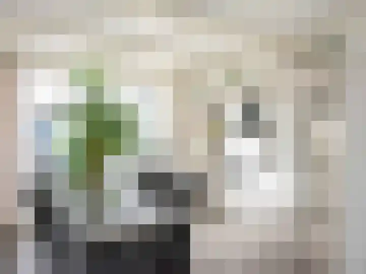 Mirasstraat 11 Oudorp thumbnail 10