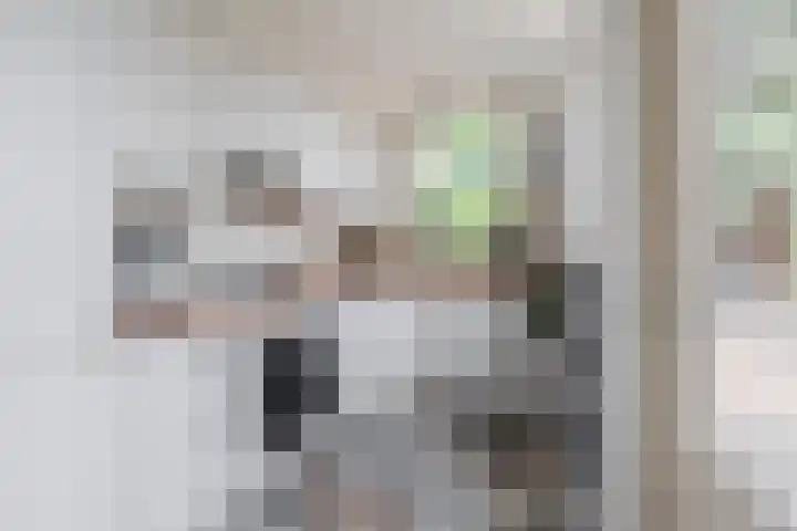 Mispelaar 11 Geldrop thumbnail 15