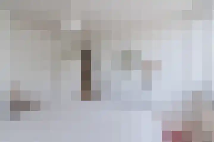 Mispelaar 11 Geldrop thumbnail 23