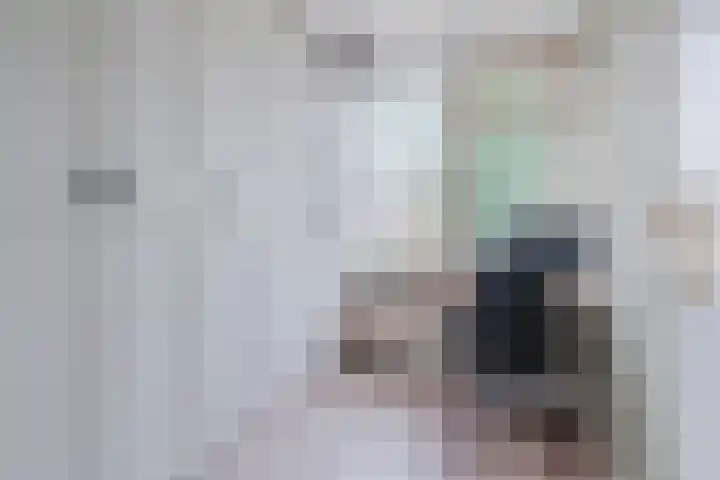 Mispelaar 11 Geldrop thumbnail 25
