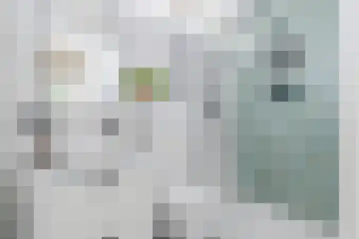 Mispelaar 11 Geldrop thumbnail 26