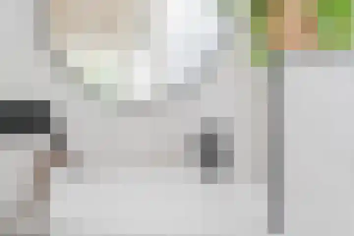 Mispelaar 11 Geldrop thumbnail 28