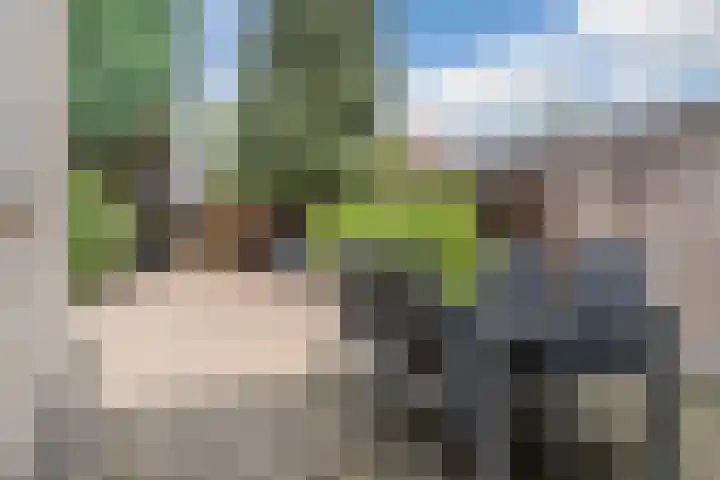 Mispelaar 11 Geldrop thumbnail 35