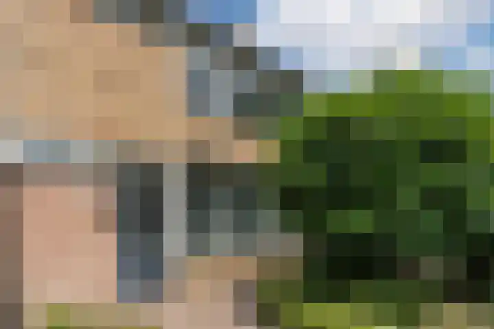 Mispelaar 11 Geldrop thumbnail 37