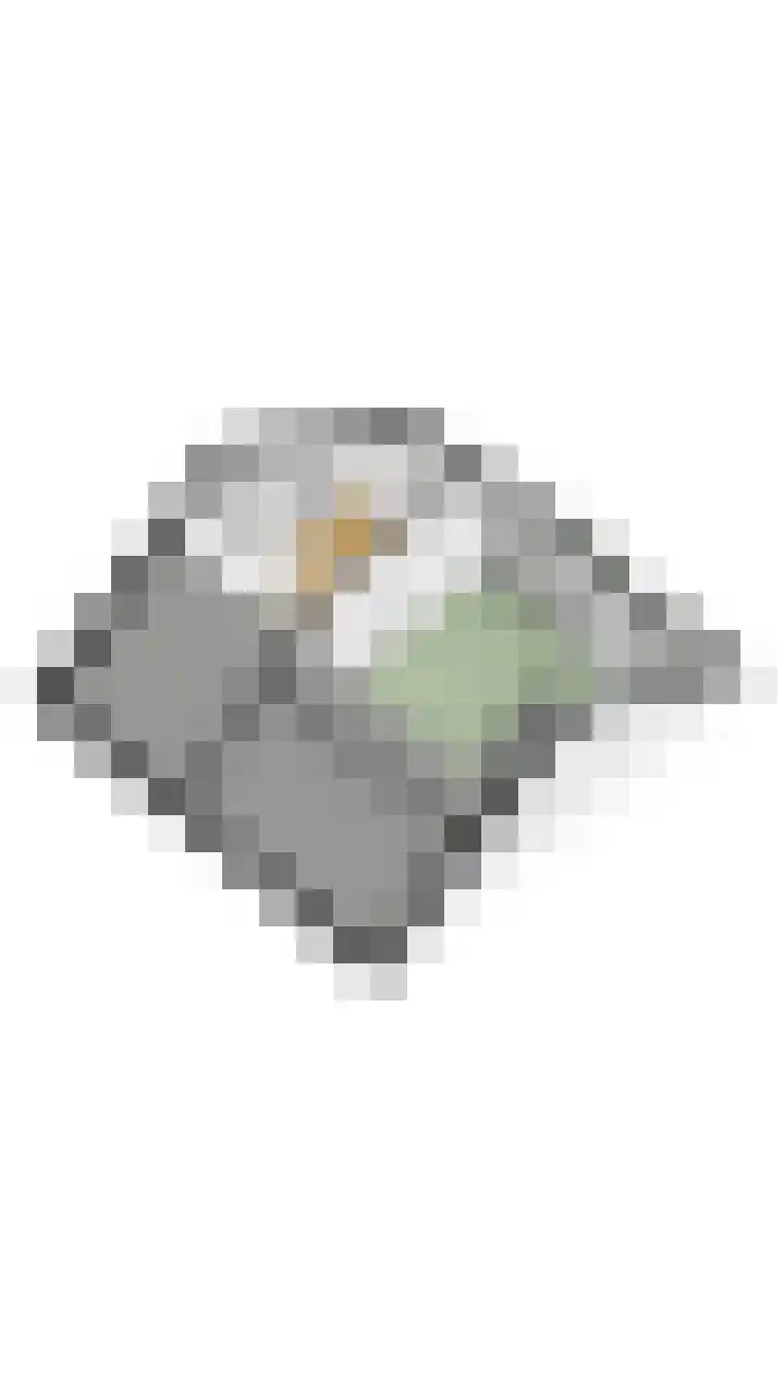 Mispelaar 11 Geldrop thumbnail 46