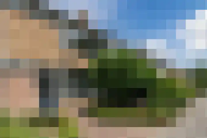 Mispelaar 11 Geldrop thumbnail 48