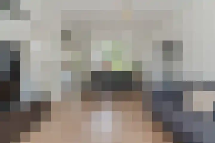 Mispelaar 11 Geldrop thumbnail 8