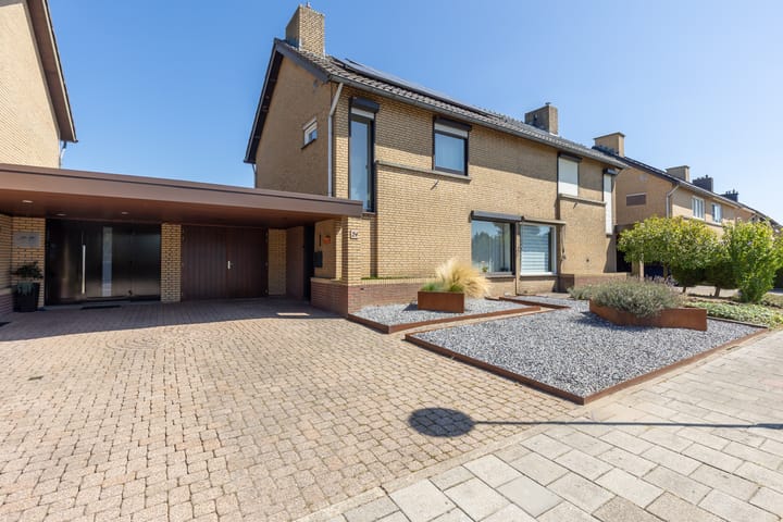 Mispelboom 24 in Holtum foto