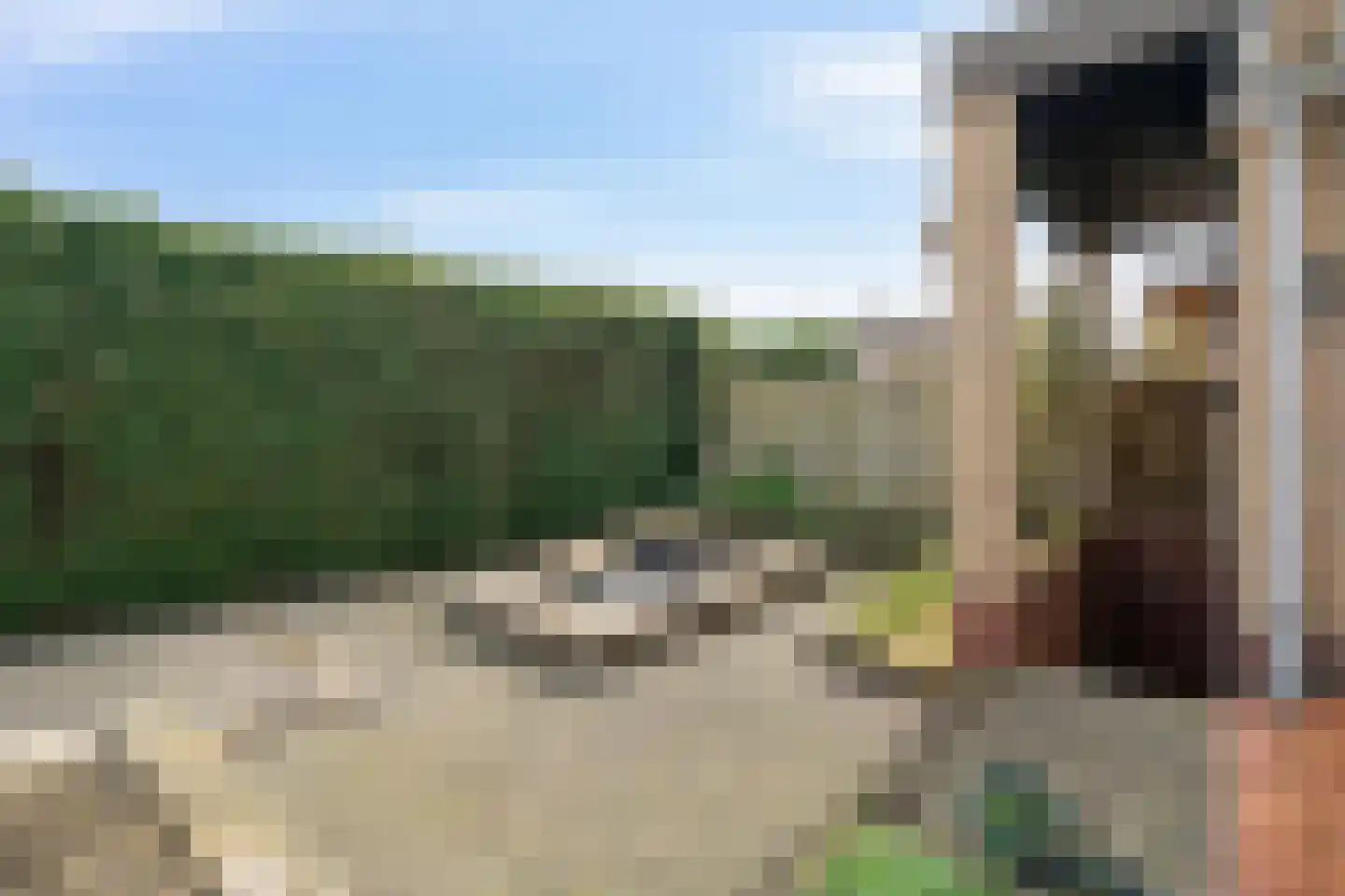 Mispelboom 24 Holtum thumbnail 14