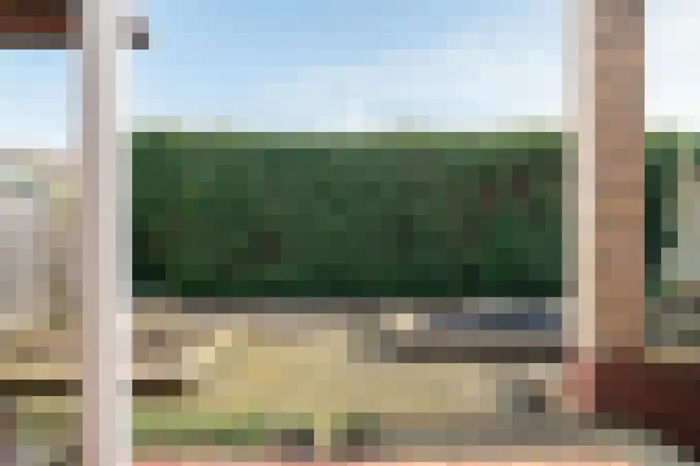 Mispelboom 24 Holtum thumbnail 16