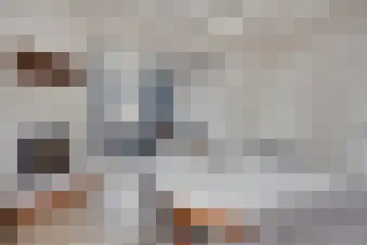 Mispeleind 1 Lage Mierde thumbnail 14