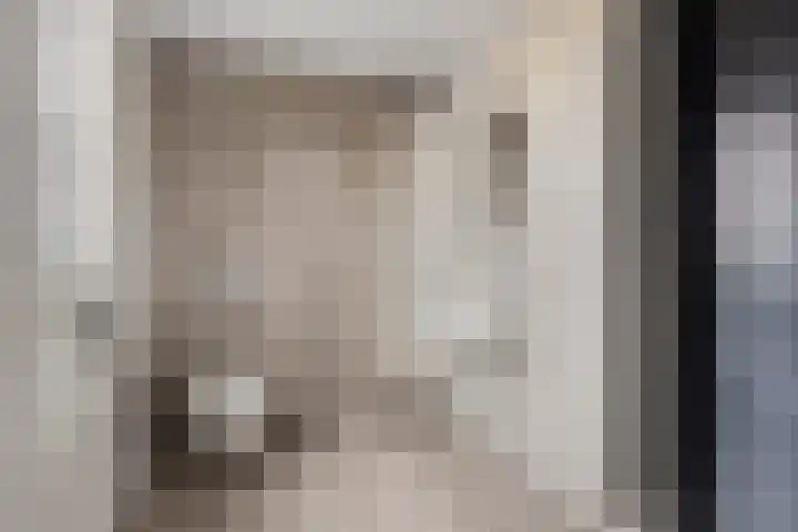 Mispeleind 1 Lage Mierde thumbnail 26