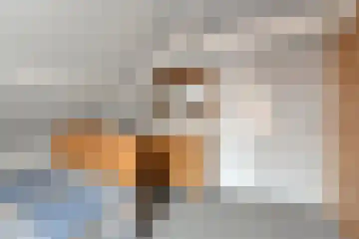 Mispeleind 1 Lage Mierde thumbnail 36