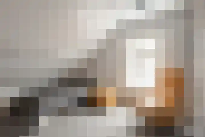 Mispeleind 1 Lage Mierde thumbnail 37