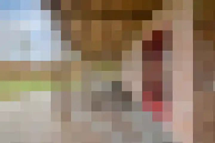 Mispeleind 1 Lage Mierde thumbnail 43
