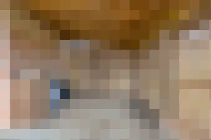 Mispeleind 1 Lage Mierde thumbnail 44