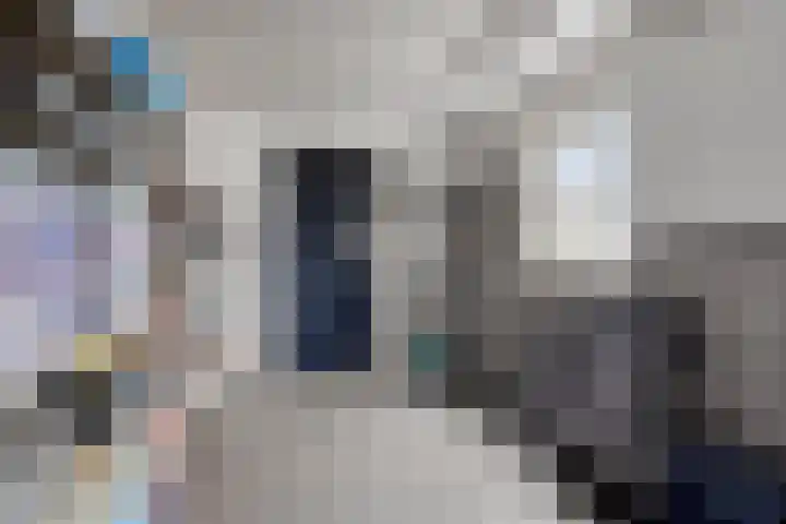 Mispeleind 1 Lage Mierde thumbnail 46