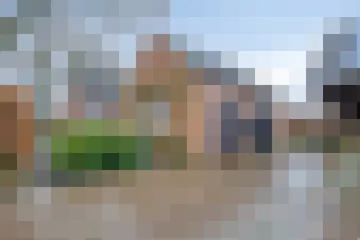 Mispeleind 1 Lage Mierde thumbnail 47
