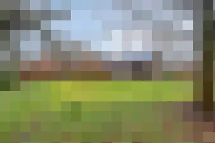 Mispeleind 1 Lage Mierde thumbnail 57