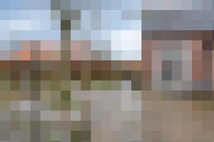 Mispeleind 1 Lage Mierde thumbnail 60