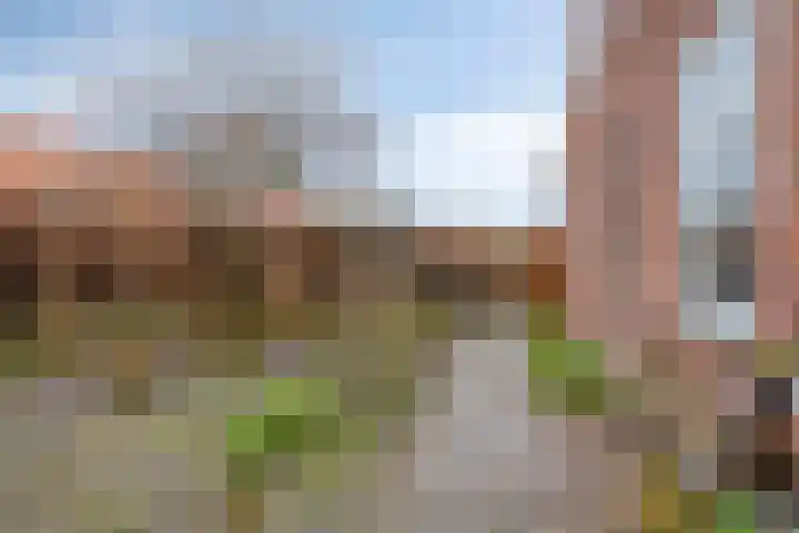 Mispeleind 1 Lage Mierde thumbnail 61