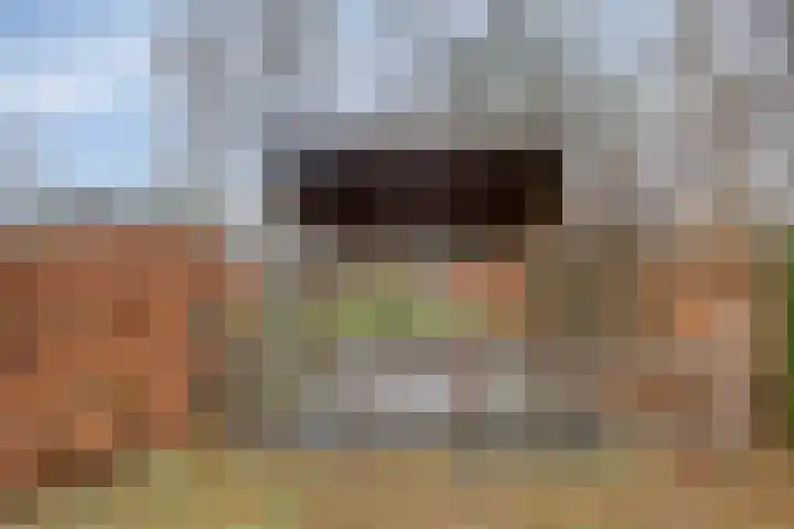 Mispeleind 1 Lage Mierde thumbnail 62