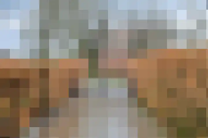 Mispeleind 1 Lage Mierde thumbnail 63