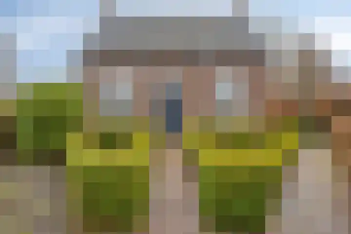 Mispeleind 1 Lage Mierde thumbnail 66