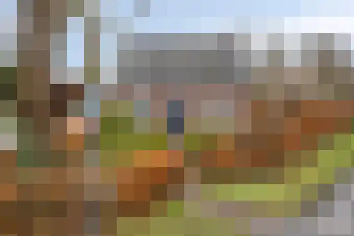Mispeleind 1 Lage Mierde thumbnail 67