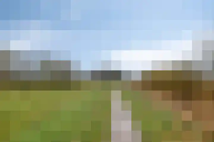 Mispeleind 1 Lage Mierde thumbnail 69